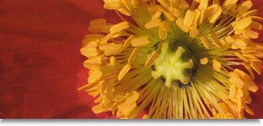 Vzorník látek markýzy